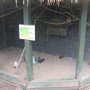 Glad Zoo - Pigeon aviary