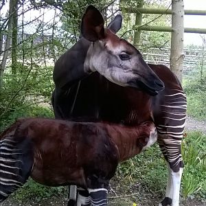 WP_20170429_12_54_17_Pro