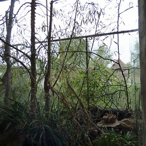 Harvest Mouse Exhibit