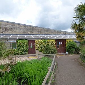 View of Tropical House