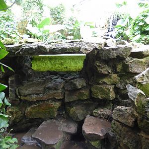 Former Underwater Viewing in Tropical House