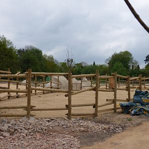 New Red River Hog Paddock