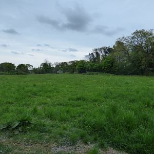 View of Cheetah Paddock