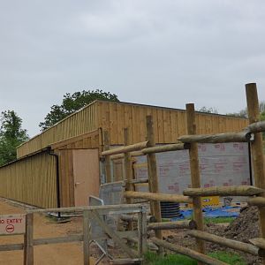 New Plains Zebra, Eland and RRH house