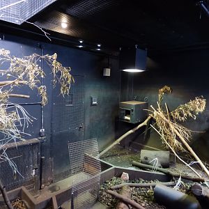 Eastern Quoll Exhibit