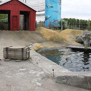 Part Seal - Sea-lion enclosure