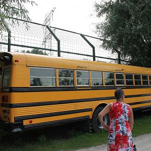 Viewing-bus Polar bear-enclosure
