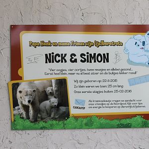 Birth-info Polar bears