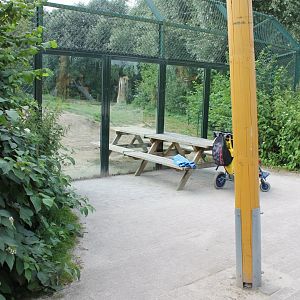 Picknick with Brown bears