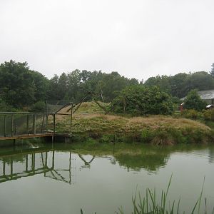 Glad Zoo - Patas monkey island
