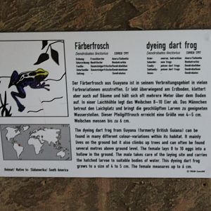 Sign Dying dart frog