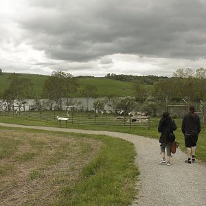 May. 2017 - Lake Trail - Chinese Goral/Red-crowned Crane Exhibit