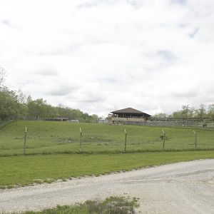 May. 2017 - Mid-sized Carnivore Conservation Center - Painted Dog Exhibit