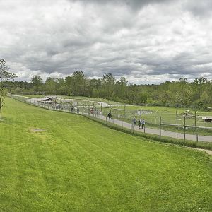 May. 2017 - Mid-sized Carnivore Conservation Center - Cheetah + Painted Dog Exhibit