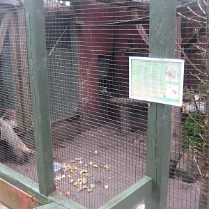 Glad Zoo - Coati exhibit