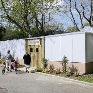 Gems of the Jungle exterior