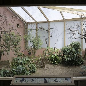 Gems of the Jungle indoor aviary