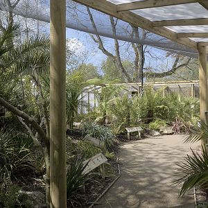 Gems of the Jungle main flight