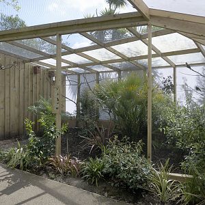 Gems of the Jungle flight beside exit