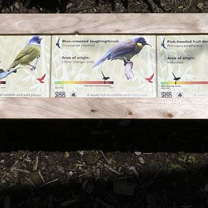 Gems of the Jungle signage