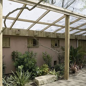 Gems of the Jungle main shelter