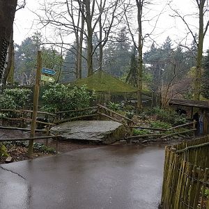 Enclosure European lynx