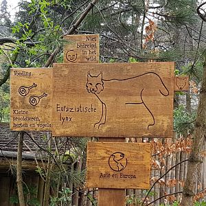 Sign European lynx