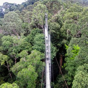 Canopy Walkway