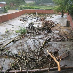 Glad Zoo - Nutria exhibit