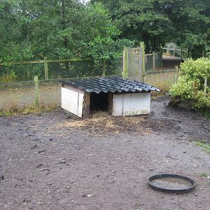 Glad Zoo - Pig enclosure