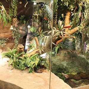 Caiman-enclosure