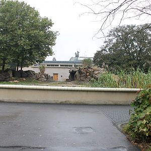 Enclosure Black rhino