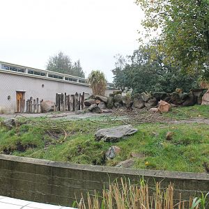 Enclosure Black rhino