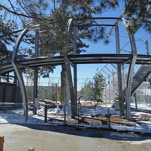 The Edge New Tiger Exhibit 2017