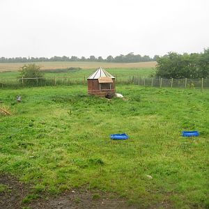 Glad Zoo - Goat enclosure