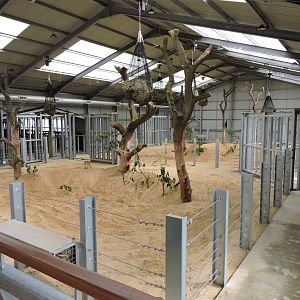 Inside Centre for Elephant Care