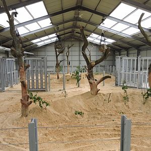 Inside Center For Elephant Care