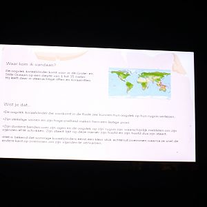 Info Threadfin butterflyfish - Chaetodon auriga