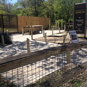 Giraffe Feeding Deck Construction