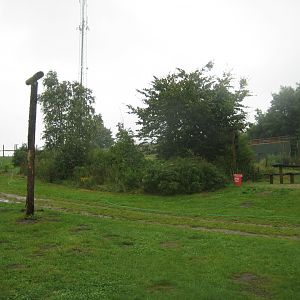 Glad Zoo - Show scene