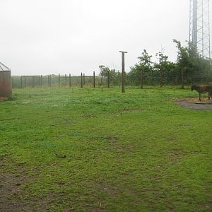 Glad Zoo - Donkey enclosure