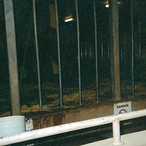 Elephant Stall January 2005