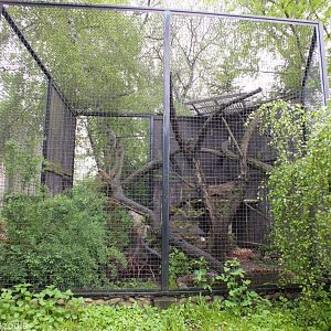New Pallas' Cat Enclosure, Formerly Holding White-tailed Sea-eagles and King Vulture