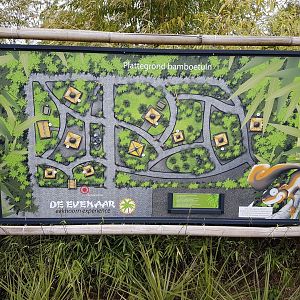 Plan Eekhoorn Experience