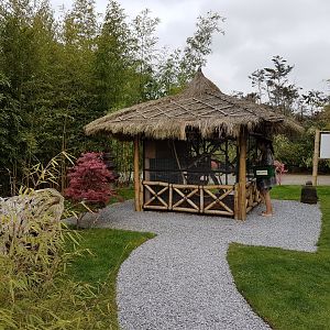 Enclosure Pere David's squirrel