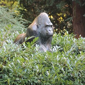 Gorilla Statue