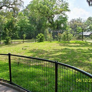 Revamped Kangaroo and Wallaby exhibit