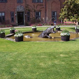 Hippo fountain