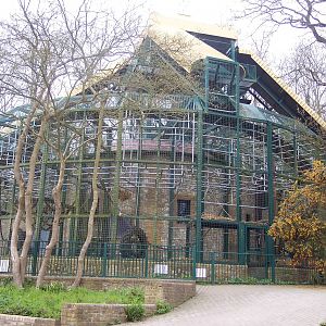 Gorilla Pavillion