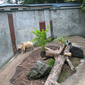 Ostrava Zoo - June 2005